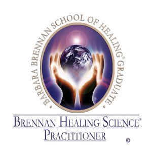 Logo Barbara Brennan school